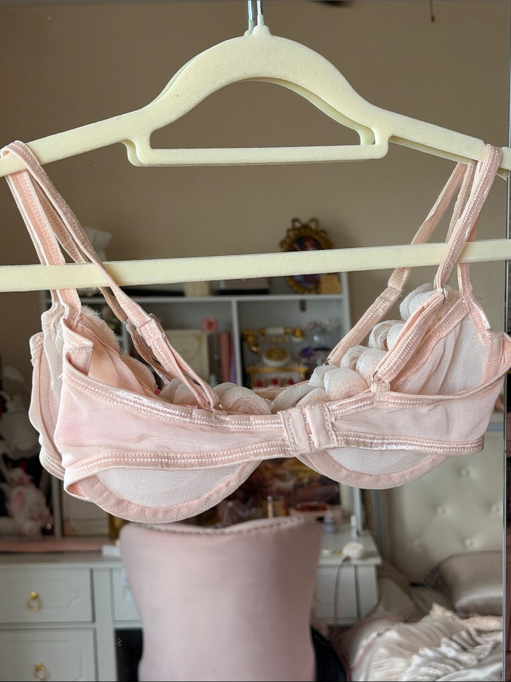 Sugar Thrillz Delicate Rose-Trim Sheer Bra - Light Peachy Pink - Picture 3 of 4